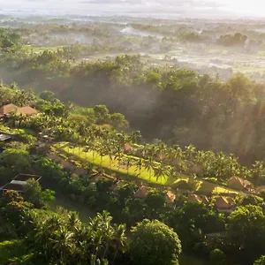 Maya & Ubud (Bali)